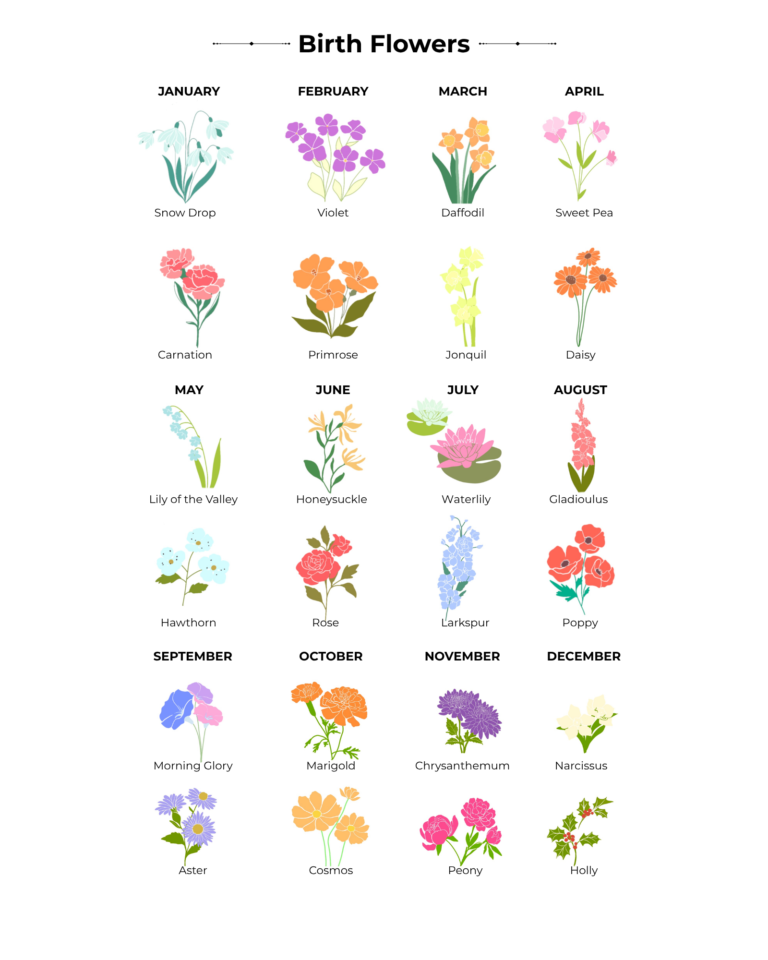 Birth Flowers